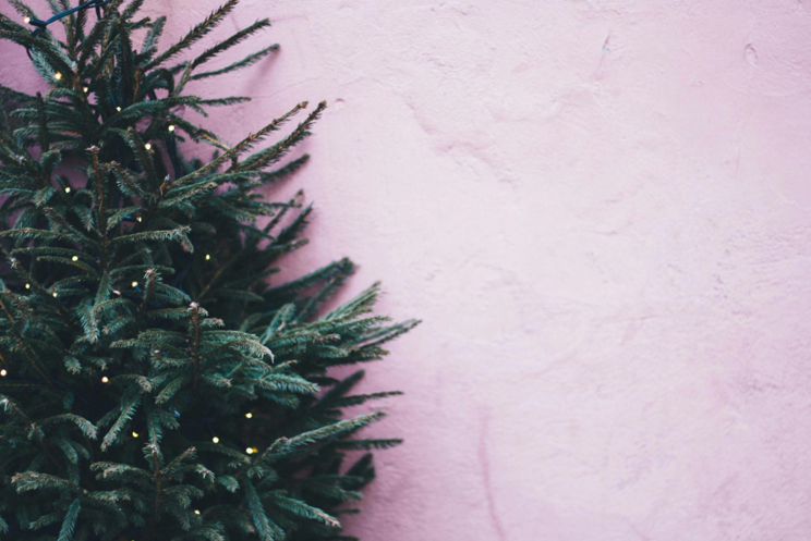 The Healing Power of Pink Trees: How Decorating a Christmas Tree with Lights Can Help You Cope